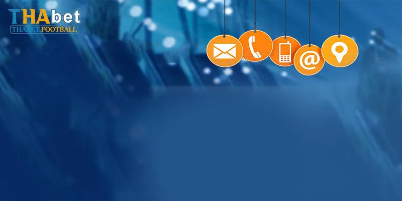 Lưu Ý Khi Liên Hệ Thabet