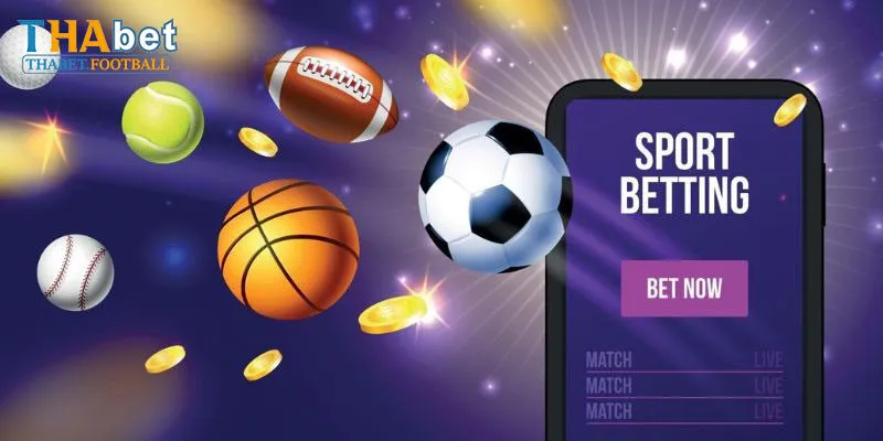 Tìm Hiểu Tổng Quan Về Sảnh IM Thể Thao