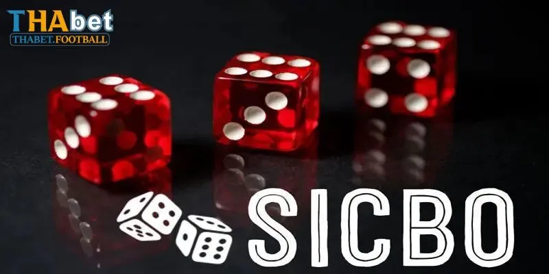 Chơi Sicbo Như Thế Nào? Bật Mí Chi Tiết Cho Cược Thủ Mới